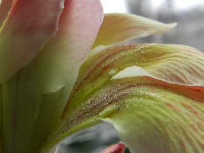 RSCN3976.JPG
