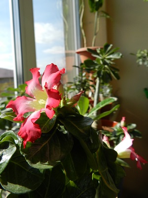 RSCN4654.JPG