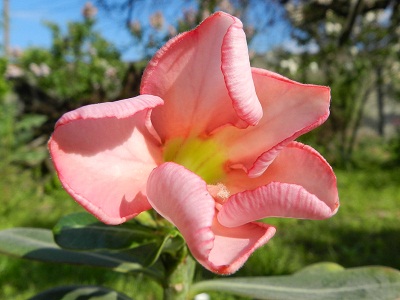 RSCN6216.JPG