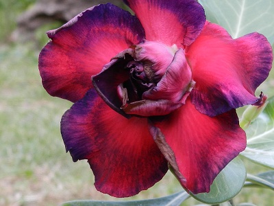 RSCN0728.JPG