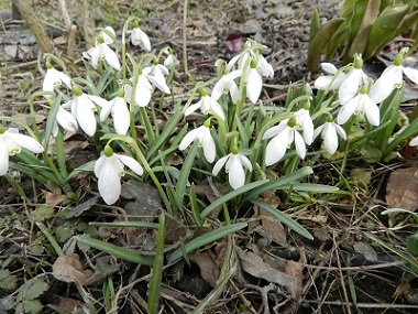 DSCN5847.JPG