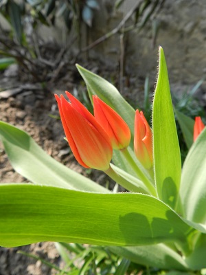 DSCN6453.JPG